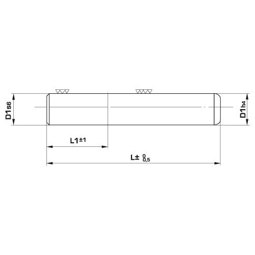 Направляющая колонка без головки C4