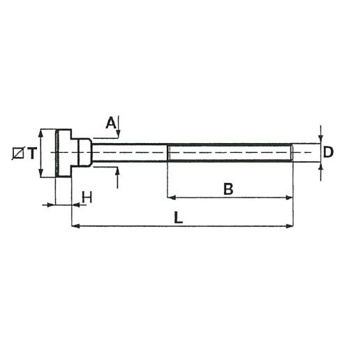 Т-образный винт DIN787 S316