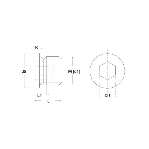 Пробка резьбовая цилиндрическая DIN 908 R0169